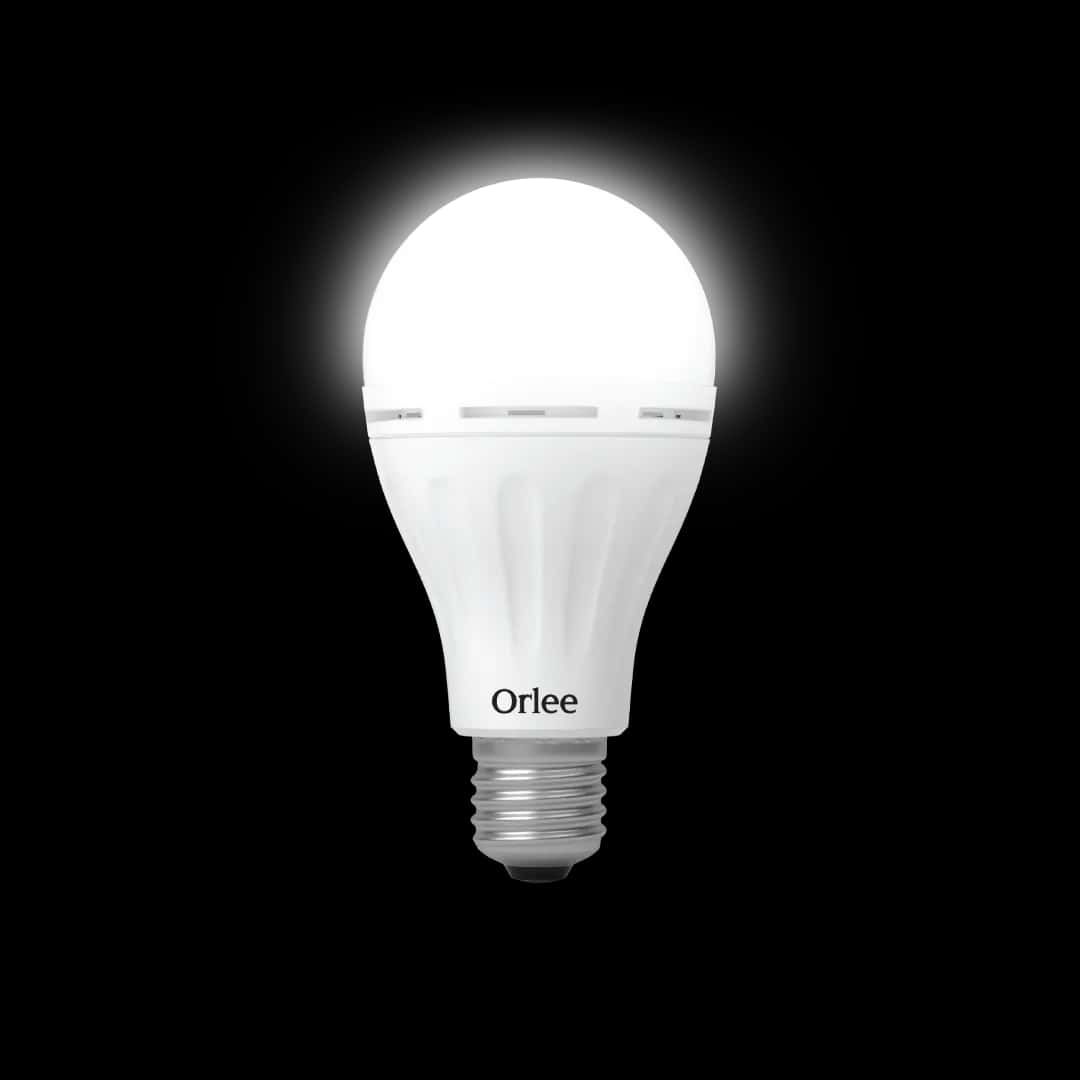 Orlee Emergency LED Bulb