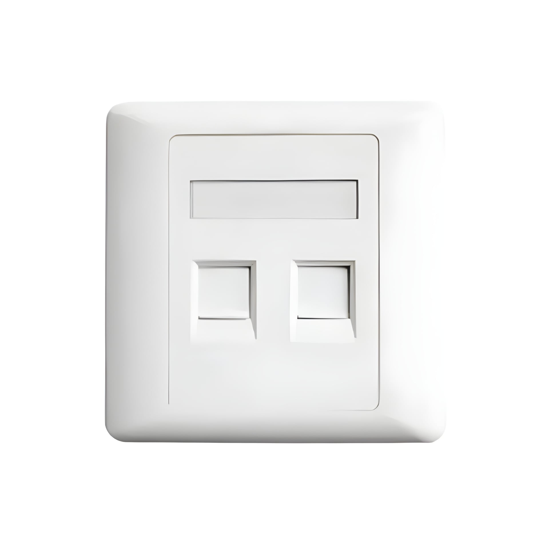 Belden AX104442 Dual Port Faceplate image 1