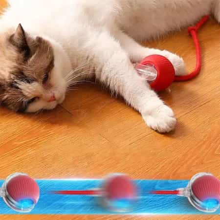 Chargeable Smart Running Ball Toy for Child and Cat