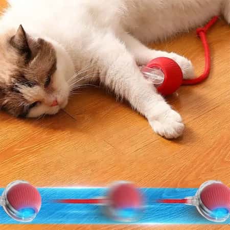 Chargeable Smart Running Ball Toy for Child and Cat