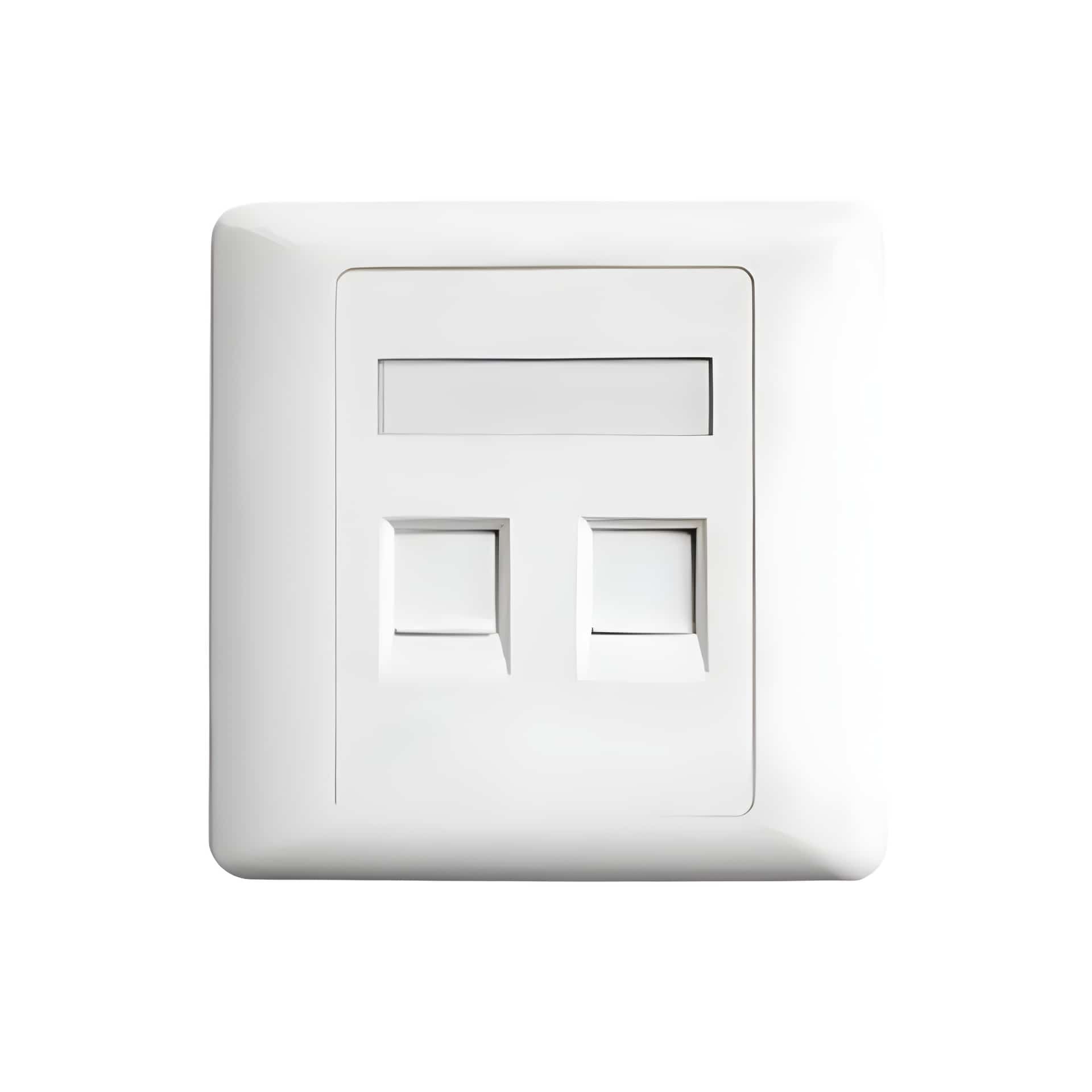 Belden AX104442 Dual Port Faceplate