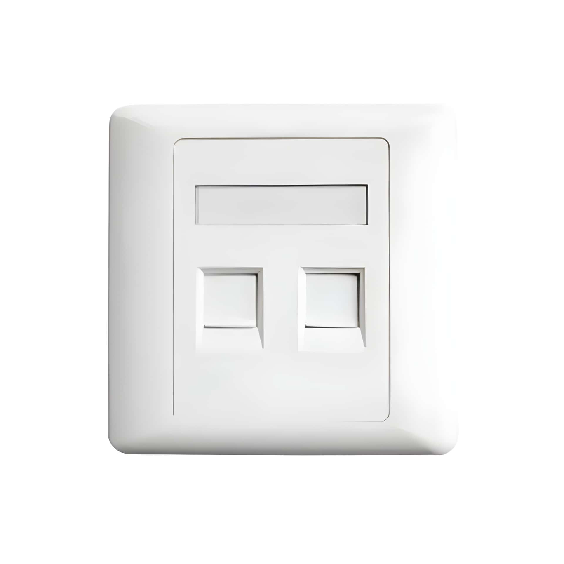 Belden AX104442 Dual Port Faceplate